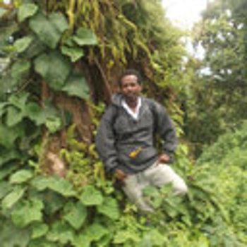 Profile picture of Dr. Kiros Welegerima Gerlasse)