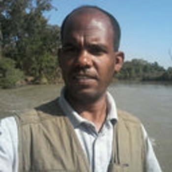Profile picture of Dr. Mengistu Walle)